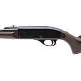 "Remington Nylon 66 Rifle .22lr (R40742)" - 3 of 5