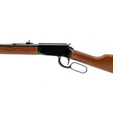 "Rossi Rio Bravo Rifle .22 WMR (NGZ4217) New" - 3 of 5