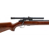 "Winchester 75 Rifle .22LR (W12704)" - 4 of 4