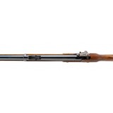 "Parker Hale 1858 Enfield Replica Modern Blackpowder .58 (BP365)" - 5 of 9