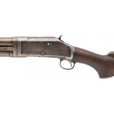 "Winchester 97 Shotgun 12 Gauge (W12342) Consignment" - 2 of 7