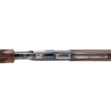 "Colt Lightning Rifle .38-40 (AC1039) Consignment" - 7 of 8