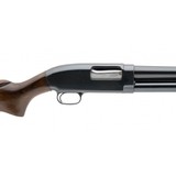 "Winchester 25 Shotgun 12 Gauge (W13104) Consignment" - 6 of 6
