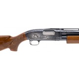 "Winchester 12 Trap Custom Engraved Shotgun 12 Gauge (W13089) Consignment" - 7 of 7