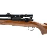 "Winchester 70 Pre-64 Rifle .22 Hornet (W12920) Consignment" - 3 of 5