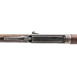 "Winchester 1895 Saddle Ring Carbine .30 Army (W13059)" - 4 of 5