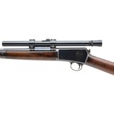 "Winchester 1903 Rifle .22 Auto (W13048) Consignment" - 2 of 4