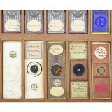 "Smith and Beck Binocular “Second Class or Number 3" Microscope Circa 1853-54 (MIS1295)" - 8 of 15