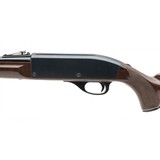 "Remington Nylon 66 Rifle .22lr (R41270)" - 2 of 4