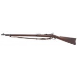 "U.S. Springfield Model 1884 Trapdoor rifle .45-70 (AL9936)" - 8 of 8