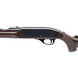 "Remington Nylon 66 Rifle .22lr (R41570)" - 3 of 4