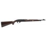 "Remington Nylon 66 Rifle .22 LR (R41393) ATX" - 1 of 4