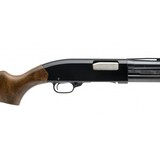 "Winchester 120 Shotgun 12 Gauge (W13142)" - 4 of 4