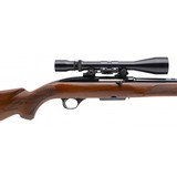 "Winchester Model 100 .243 Win (W13166)" - 3 of 5