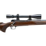 "Winchester 70 Pre-64 Varmint Rifle .243 Win (W13169)" - 4 of 4