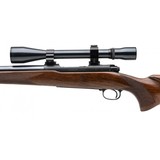 "Winchester 70 Pre-64 Varmint Rifle .243 Win (W13169)" - 2 of 4