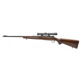 "Winchester Model 70 Rifle .22 Hornet (W12982) ATX" - 3 of 4