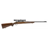 "Winchester Model 70 Rifle .22 Hornet (W12982) ATX" - 1 of 4
