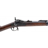 "U.S. Springfield Model 1884 trapdoor .45-70 (AL9958)" - 6 of 8