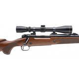"Winchester 70 Super Express Rifle 375 H&H Magnum (W13281)" - 3 of 5
