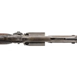 "Colt 1855 Revolving Rifle (AL9988)" - 5 of 7