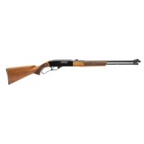 "Winchester 250 Rifle .22 S,L, LR (W13302)" - 1 of 4