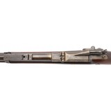 "U.S. Springfield Model 1884 trapdoor .45-70 (AL9998) CONSIGNMENT" - 3 of 7