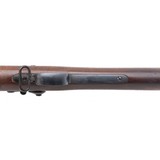 "U.S. Springfield Model 1888 ram-rod bayonet trapdoor .45-70 (AL9999) CONSIGNMENT" - 7 of 7