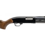 "Winchester Ranger 120 Shotgun 20 Gauge (W12409) ATX" - 4 of 4
