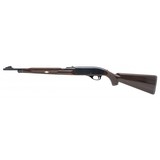 "Remington Nylon 66 Rifle .22lr (R42299)" - 4 of 4