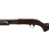 "Ithaca 37 Shotgun 12 Gauge (S16390) Consignment" - 2 of 4