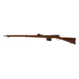 "Swiss Schmidt-Ruben Model 1889 7.5x53.5mm (AL10033)" - 10 of 11