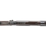 "Winchester 1873 Saddle Ring Carbine (AW987)" - 9 of 10