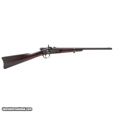 "Palmer Bolt Action carbine .50RF (AL10016)"