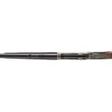 "Winchester 1886 Deluxe Rifle (AW901)" - 5 of 10