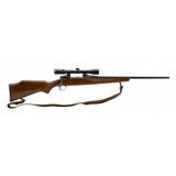 "Savage 110 Rifle 30-06 (R42701)"