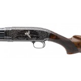 "Winchester 1912 Shotgun 20 Gauge 2 Barrel Set (W13378) Consignment" - 7 of 11
