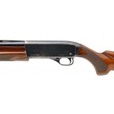 "Winchester Super-X Model 1 Shotgun 12 Gauge (W13447)" - 3 of 5