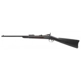 "U.S. Springfield Model 1884 Trapdoor carbine 9TH Cavalry Company G .45-70 (AL10105) DTX" - 5 of 9