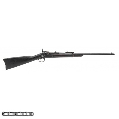 "U.S. Springfield Model 1884 Trapdoor carbine 9TH Cavalry Company G .45-70 (AL10105) DTX"