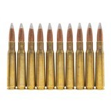 "10-rounds of .50-caliber API ammunition (MIS5339)"