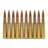 "10-rounds of .50-caliber FMJ ammunition (MIS5337)"