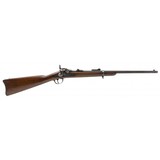 "U.S. Springfield Model 1877 Trapdoor carbine .45-70 (AL10104)"