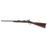 "U.S. Springfield Model 1877 Trapdoor carbine .45-70 (AL10104)" - 9 of 9