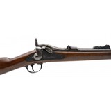 "U.S. Springfield Model 1877 Trapdoor carbine .45-70 (AL10104)" - 8 of 9