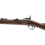 "U.S. Springfield Model 1877 Trapdoor carbine .45-70 (AL10104)" - 7 of 9
