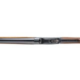 "Excellent Winchester 1901 Lever Action Shotgun (W12296)" - 9 of 9