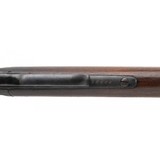 "Extremely Rare Hawaiian National Guard Winchester 1886 Rifle (AW1088) CONSIGNMENT" - 3 of 9