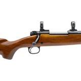 "Winchester Model 70 Rifle .300 Win mag (W13450)" - 3 of 5