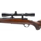 "Ruger M77 Varmint Rifle 220 Swift (R43243)" - 4 of 4